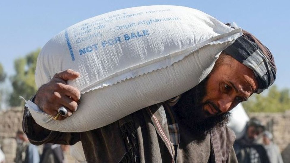 'Food for work' program expands in Afghanistan@unitedbusinessoutlook.com